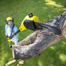 Best Lawn Pest Prevention  in Elk Plain, WA