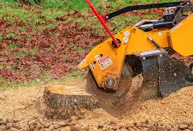 Lawn Pest Prevention in Elk Plain, WA